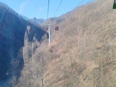 -栾川竹海野生动物园