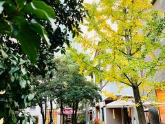 -徐家汇源景区-衡山坊