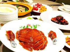 -圆苑(静安寺店)