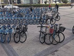 -同济大学(嘉定校区)