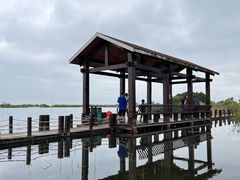 -苏州太湖湖滨国家湿地公园