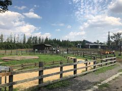 -田园东方蜜桃村的田野营地
