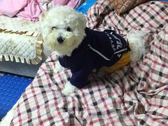 -瑞鹏宠物医院·爱宠堂·骨外专科(西荷分院)