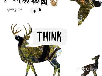 冬天的动物园更有广州气氛