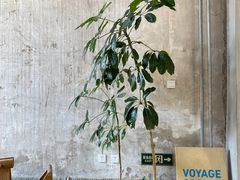 -VOYAGE COFFEE 咖啡烘焙工坊店(798艺术区店)
