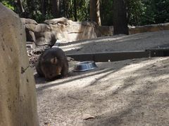 -可伦宾野生动物保护区