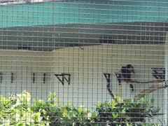 -九龙公园