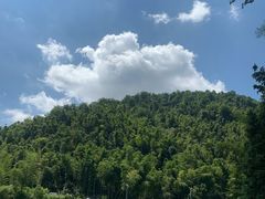 -梅岭神龙潭