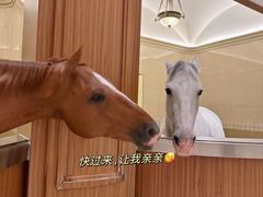 -海澜飞马水城