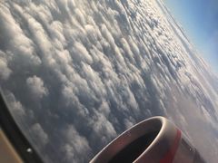 -湄公河秘制烤鱼(西双十贰城商业中心店)