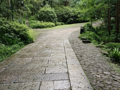 -宋宴(虎跑店)