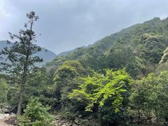 -姑婆山旅游区