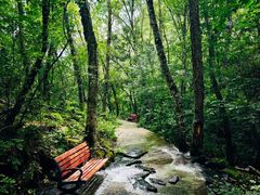 -叠溪松坪沟景区
