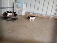 -长兴岛郊野公园农场食堂