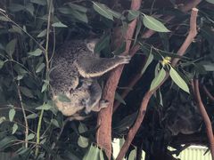 -费瑟代尔野生动物园