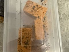 -石岐佬中山菜馆(张溪店)