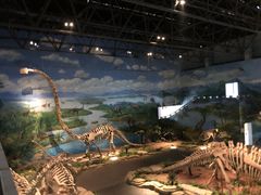 -自贡恐龙博物馆