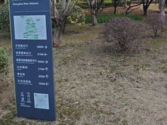 -尚贤河湿地