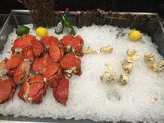 -棕榈岛海鲜自助餐厅(虹桥迎宾馆店)