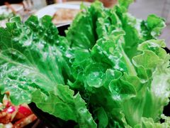 生菜-酒拾烤肉(阳光100店)