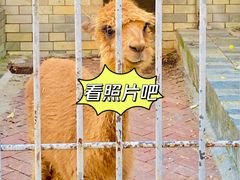-北宫国家森林公园