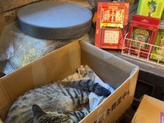 -正阳书局(西四南大街店)