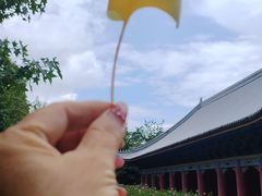 -崇圣寺三塔文化旅游区