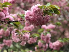 -苏州河梦清园环保主题公园