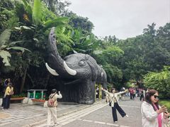 -野象谷景区
