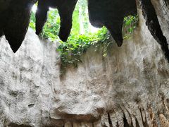 -南山植物园