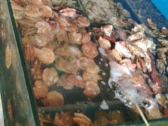 -海帮主·蒸汽海鲜青岛菜(栈桥火车站店)