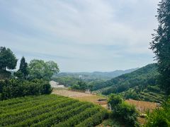 -乌石村