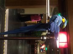 iphone_upload_pic-那家小馆•北京菜•烤鸭(中关村店)