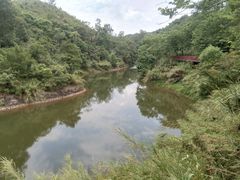 -红花湖景区