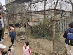 -意大利农场度假村
