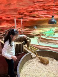 -Zoolung Zoolung动物主题公园(海信广场店)