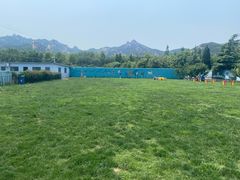 -趣玩宠物乐园寄养训犬训狗游泳池