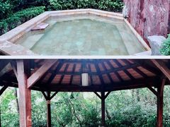 -天目湖涵田半山温泉