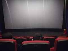 -万达影城 (甘井子万达广场IMAX店)