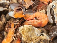 -赶海部落海鲜城(海阳路店)