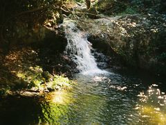 -柯达真美(老重庆中路店)