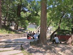 -阳台山自然风景区