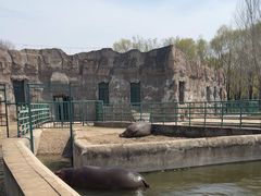 -哈尔滨北方森林动物园