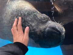 -海合安成都极地海洋公园