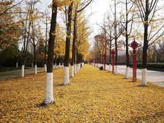 -金陵图书馆