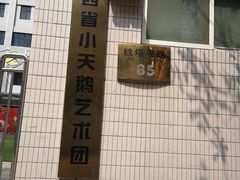 -陕西省小天鹅艺术团