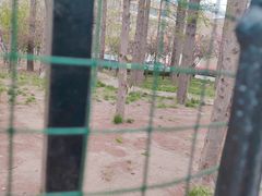 -山东省青岛第二中学(江西路分校)