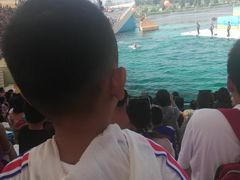 -秦皇岛乐岛海洋王国