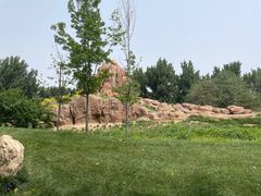 -北京野生动物园
