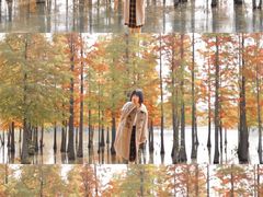 -白鹭湾湿地公园